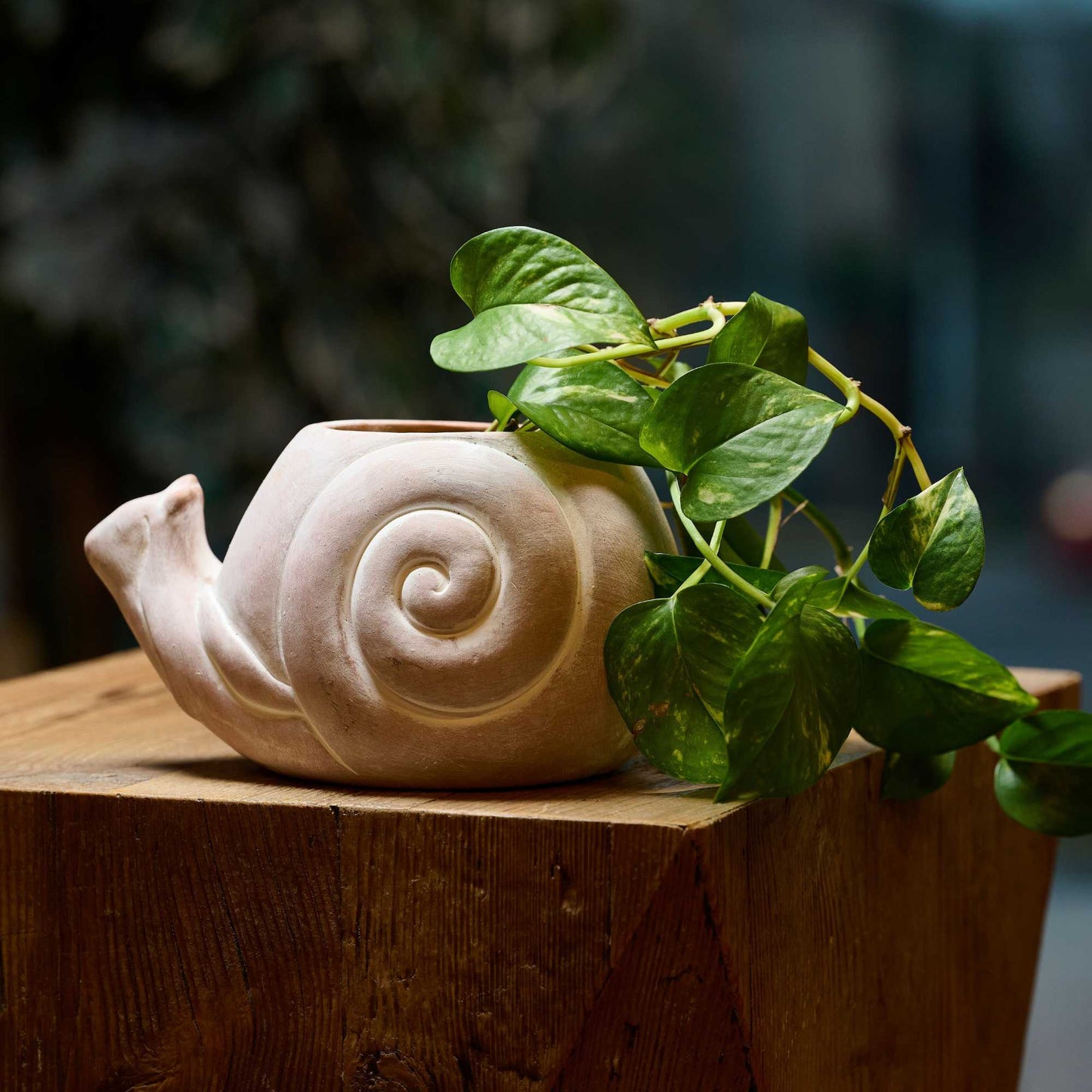 Vaso Lumaca terracotta