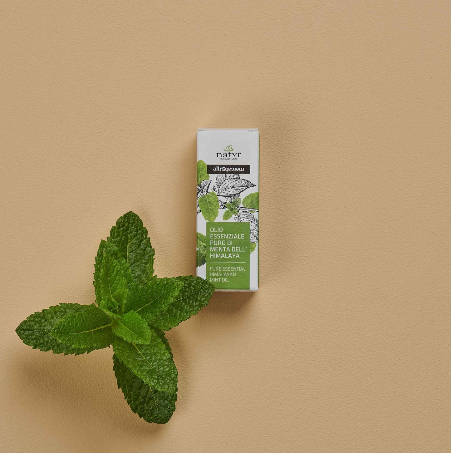 Olio essenziale puro di menta | 10 ml