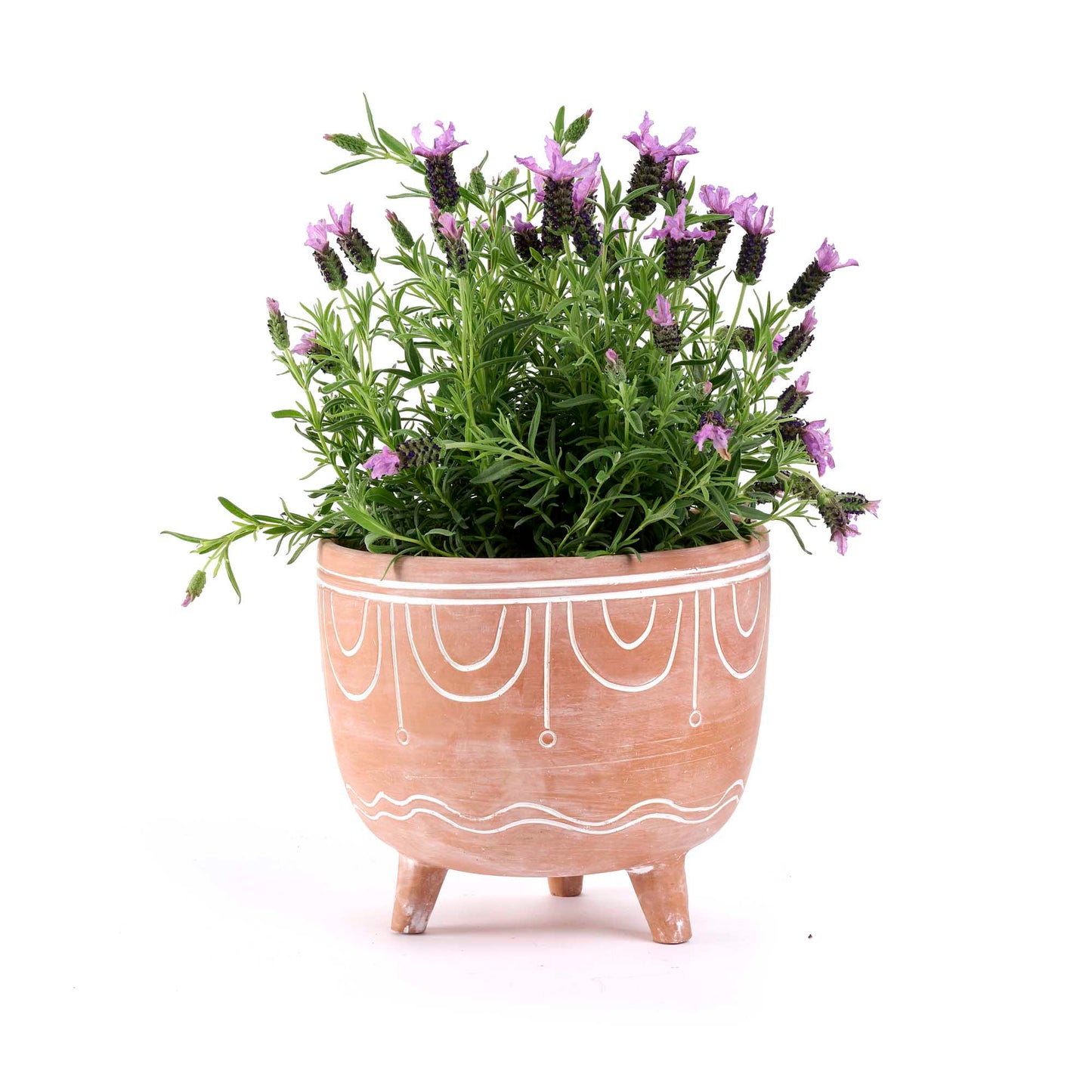 Vaso Pins terracotta