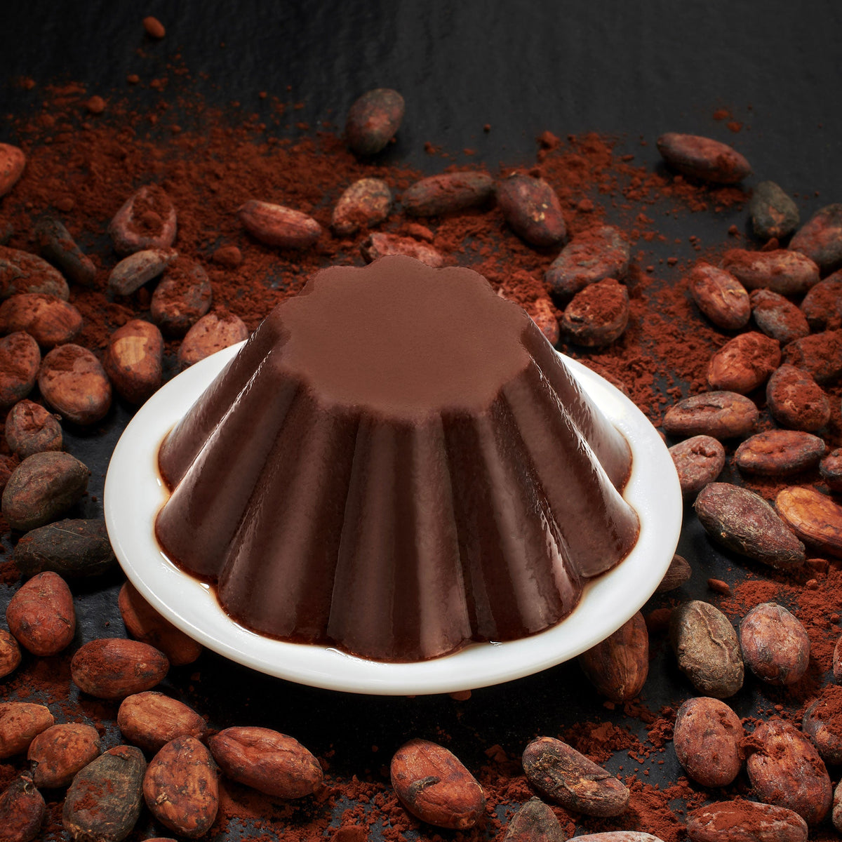 Preparato per budino al cacao - bio | 90 g