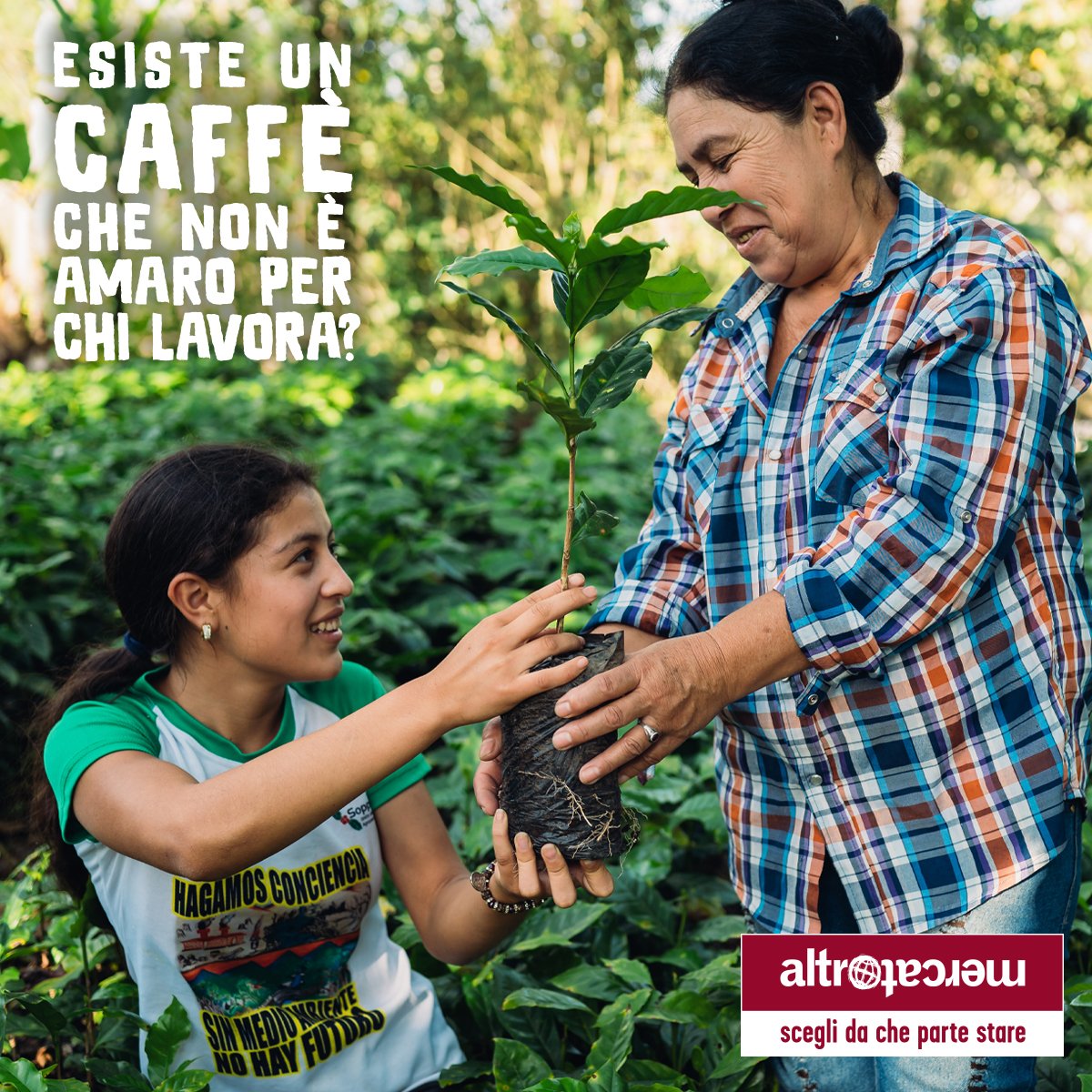 Caffè Manifesto bio | 250 g