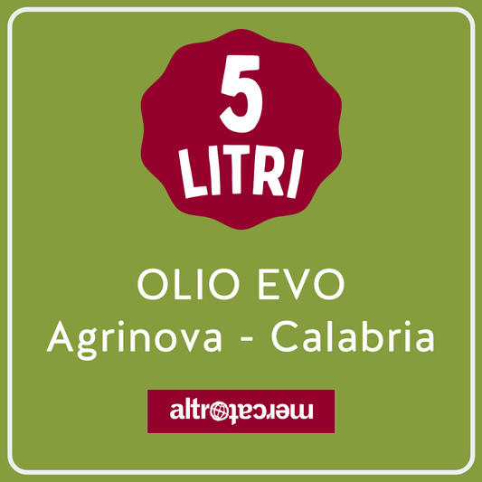 Olio evo Agrinova in latta Calabria | 5L