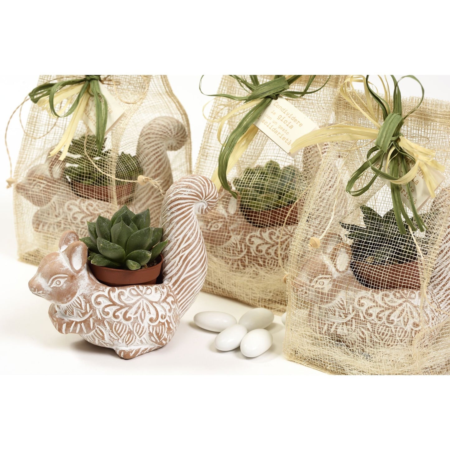 Vasetto Scoiattolo terracotta